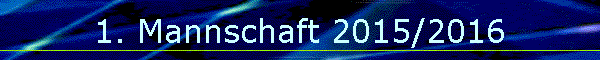 1. Mannschaft 2015/2016